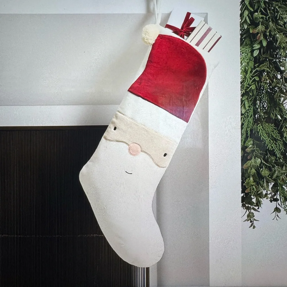 Crate&Barrel charming santa